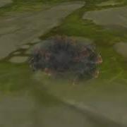 Unity VFX Graph Explosion