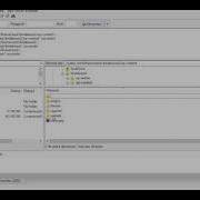 Brideliness WooCommerce WordPress Theme Installing Sample Data Demo Data