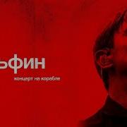Дельфин Концерт на корабле