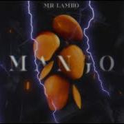 Mr Lambo Mango Official Video