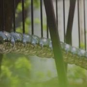 Wave Pendulum