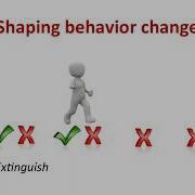Shaping Behavior Change Weakening Problematic Behaviors