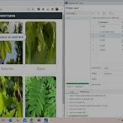 1 Мастер класс Selenium IDE Часть1