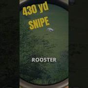 The BEST Shot In CotW TheHunter Call Of The Wild