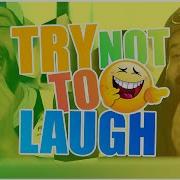 LAUGHING SUNDAYS EPISODE 2 TRY NOT TO LAUGH 8 Minutes Of Contagious Laughter CHALLENGE