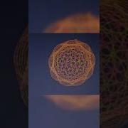 Shorts Python Animation Program Draw Unique Design In Circle Shape
