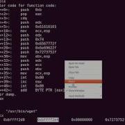 Hack Of The Day Customizing Shellcode For Fun And Profit