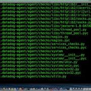 Bash Script Example