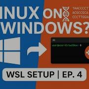 How To Use Linux On Windows WSL For Bioinformatics Bioinformatics Data Analysis Ep 4