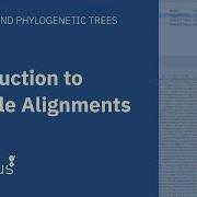 Align Multiple Sequences In Geneious Prime Spot Conserved Regions And Differences Fast