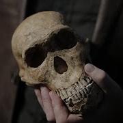 Homo Naledi загадочное звено человеческой эволюции El Nuevo Herald США