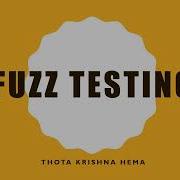 Fuzz Testing