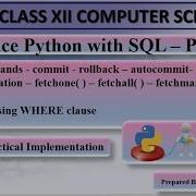 Interface Python With MySQL Part 3 TCL Commands Read Operations CBSE Class 12 Computer Sci