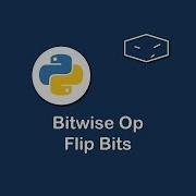 Bitwise Op Flip Bits In Python