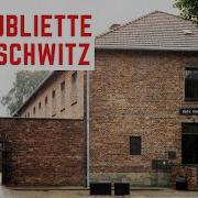 The Oubliette Of Auschwitz HORRIFIC Standing Cells