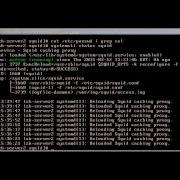 Squid Proxy Part IV NCSA Auth