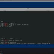 12 Hands On Demo OpenACC OpenMP And CUDA Max Katz
