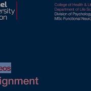 SPM Tutorial 03 Realignment