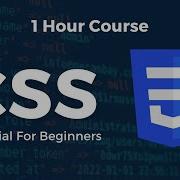 CSS Tutorial For Beginners Learn CSS In Just One Hour