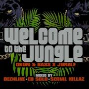 Welcome To The Jungle Continuous DJ Mix Pt 2