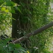 12 Gauge Exploding Arrow Head