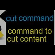 Master Linux In Minutes Uncover The Power Of The Cut Command