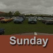 Turtle Ball Run Meet Sunday Timelapse