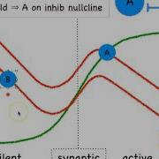 Central Pattern Generation With Half Center Oscillator