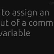 How To Assign An Output Of A Command To A Variable Bash