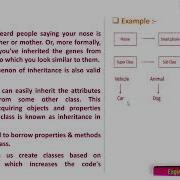 Inheritance Java Programming