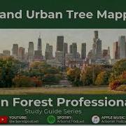 GIS In Urban Forestry Mapping The Future Of City Trees Ep 9 UrbanForestry GIS TreeMapping
