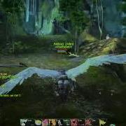 AION Online Hiding Skill Bug