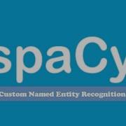 NLP4 SpaCy Custom Named Entity Recognition