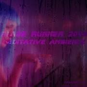 Blade Runner 2049 Meditative Ambience With City Sounds