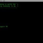 Session Time Out TMOUT BASH Linux