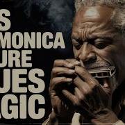 This Harmonica Is Pure Blues Magic