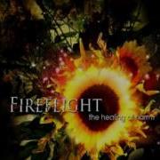 Fireflight You Decide Feat Josh Brown Of Day Of Fire