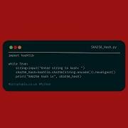 Python Hashlib SHA256 Hash Generator