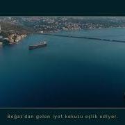 Nef Reserve Kandilli Kandilli Deki Yeni Yaşamı Keşfedin
