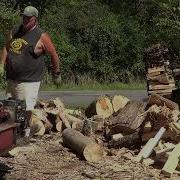 Processing Tree Service Wood