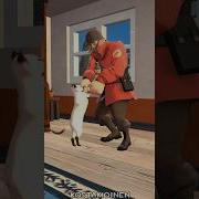 Soldier And Cupcake SFM Shorts