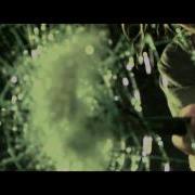 WFF Hail Trailer