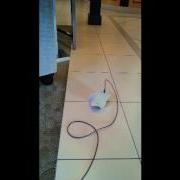 Finch With Scratch 2 0