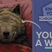 Wolf Chronotypes NEED To Stop Making This Same Mistake