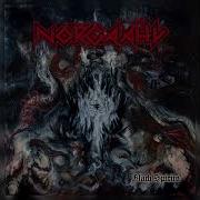 Norgaahl Black Spirits Full Album 2026