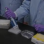 Sample Preparation In A Bioanalytical Workflow Part 1