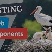 Can You Nest Web Components Inside Each Other