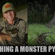 UCF Student Nabs 16 Ft Python In Florida Everglades