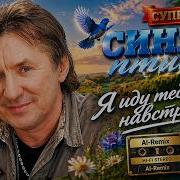 ВИА Синяя птица Я иду тебе навстречу AI Cover