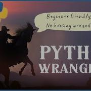 PicoCTF Python Wrangling Walkthrough Run Your First Python Program